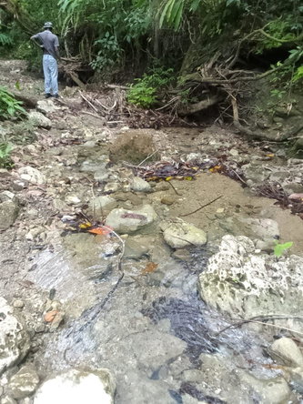 Twelfth image of Lot 6 New Ramble, Free Hill P.o in Free Hill, St. Mary, Jamaica - property is For Sale