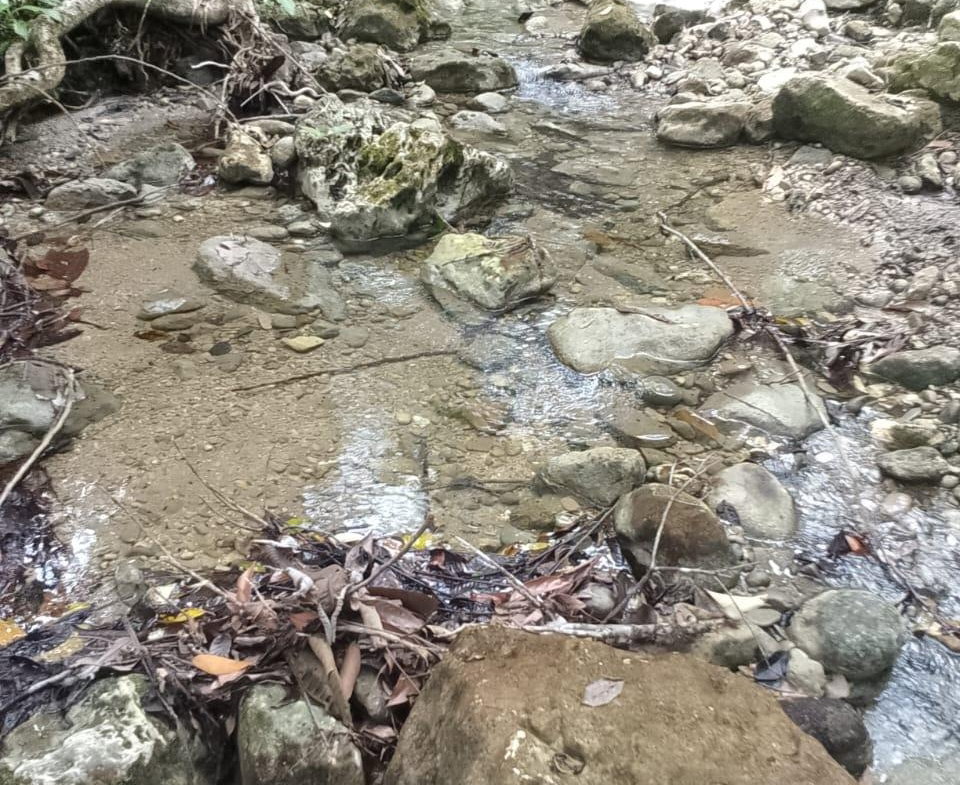 Thirteenth image of Lot 6 New Ramble, Free Hill P.o in Free Hill, St. Mary, Jamaica - property is For Sale