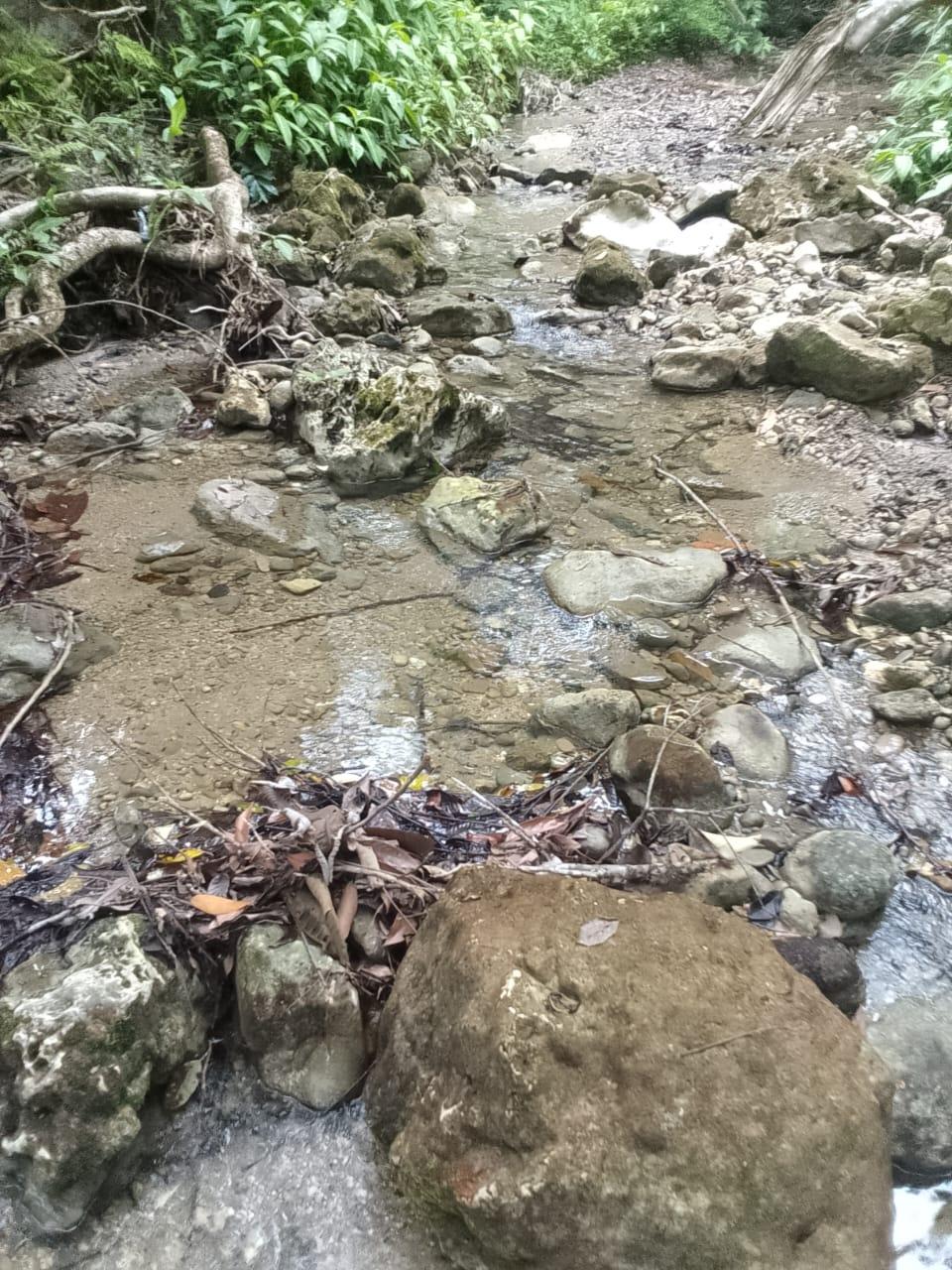 Thirteenth image of Lot 6 New Ramble, Free Hill P.o in Free Hill, St. Mary, Jamaica - property is For Sale