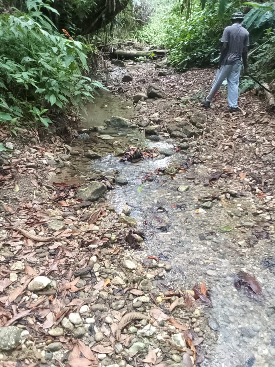 Fourteenth image of Lot 6 New Ramble, Free Hill P.o in Free Hill, St. Mary, Jamaica - property is For Sale