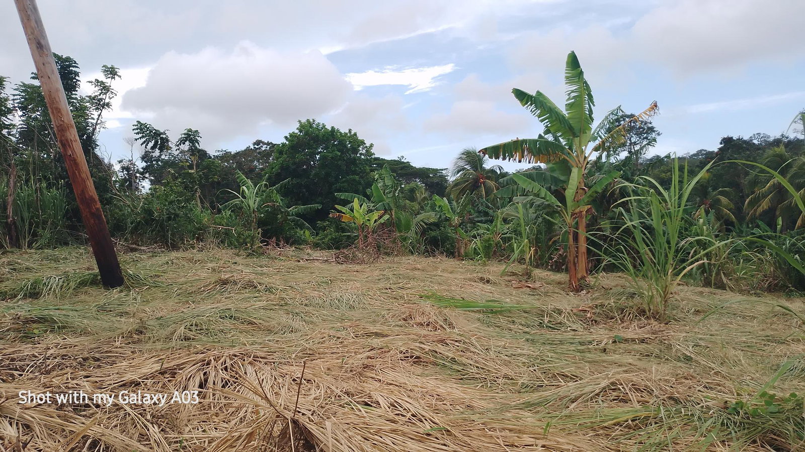 Seventh image of Lot 6 New Ramble, Free Hill P.o in Free Hill, St. Mary, Jamaica - property is For Sale