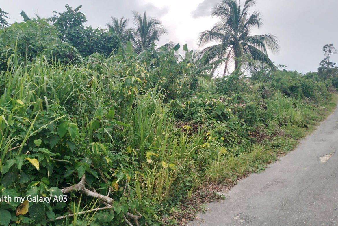 Ninth image of Lot 6 New Ramble, Free Hill P.o in Free Hill, St. Mary, Jamaica - property is For Sale