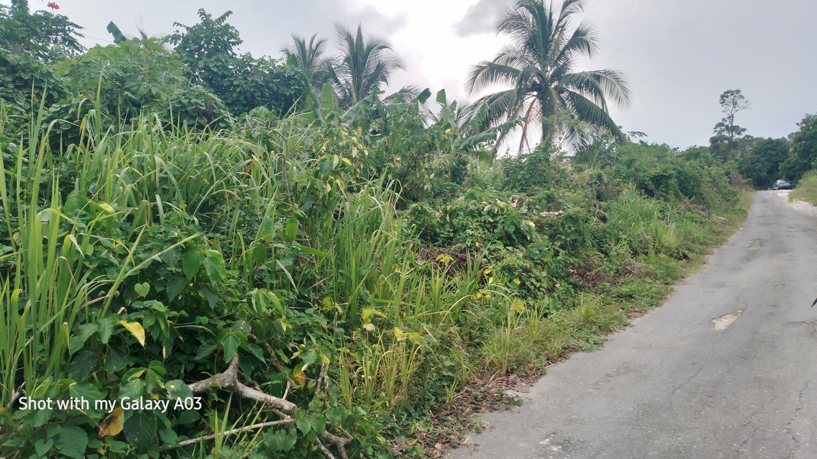 Ninth image of Lot 6 New Ramble, Free Hill P.o in Free Hill, St. Mary, Jamaica - property is For Sale