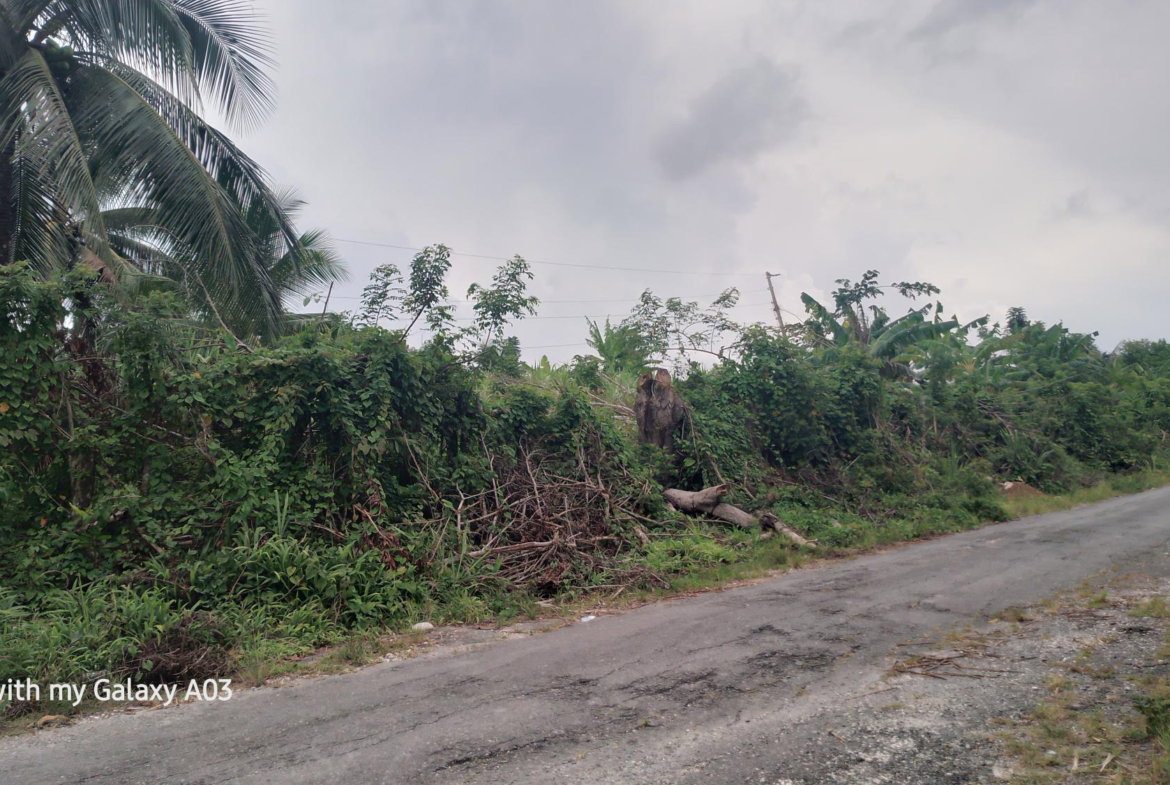 Tenth image of Lot 6 New Ramble, Free Hill P.o in Free Hill, St. Mary, Jamaica - property is For Sale