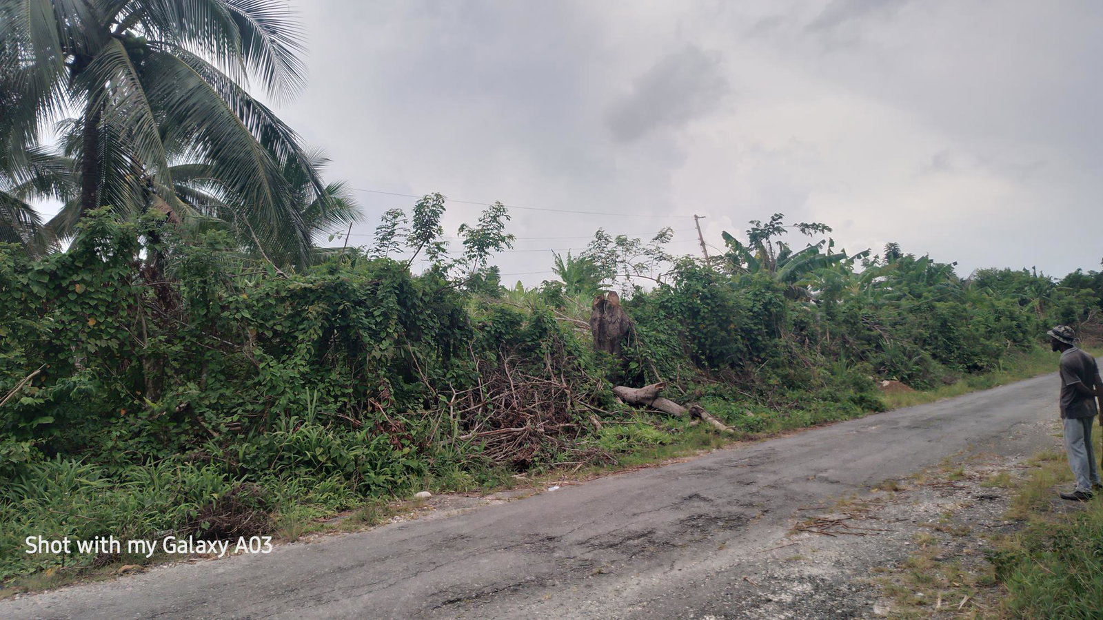 Tenth image of Lot 6 New Ramble, Free Hill P.o in Free Hill, St. Mary, Jamaica - property is For Sale