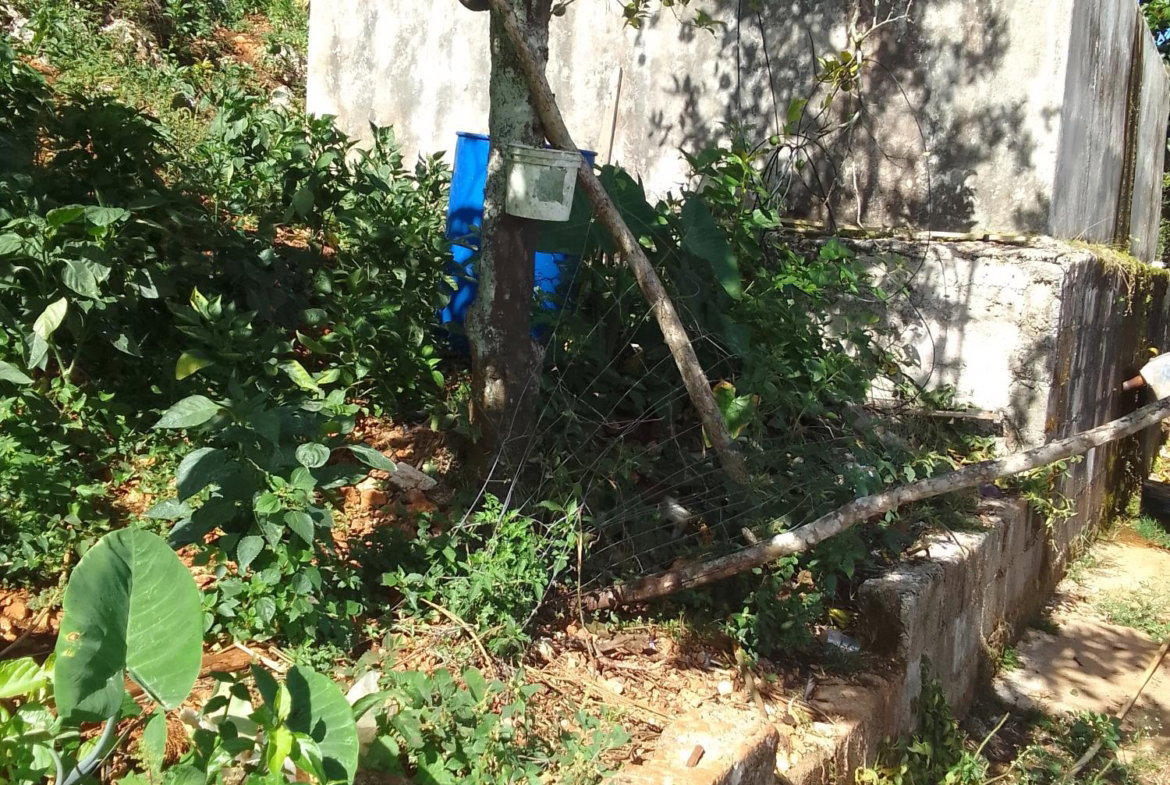 Second image of Knox Road, Spaldings Clar in Spaldings, Clarendon, Jamaica - property is For Sale