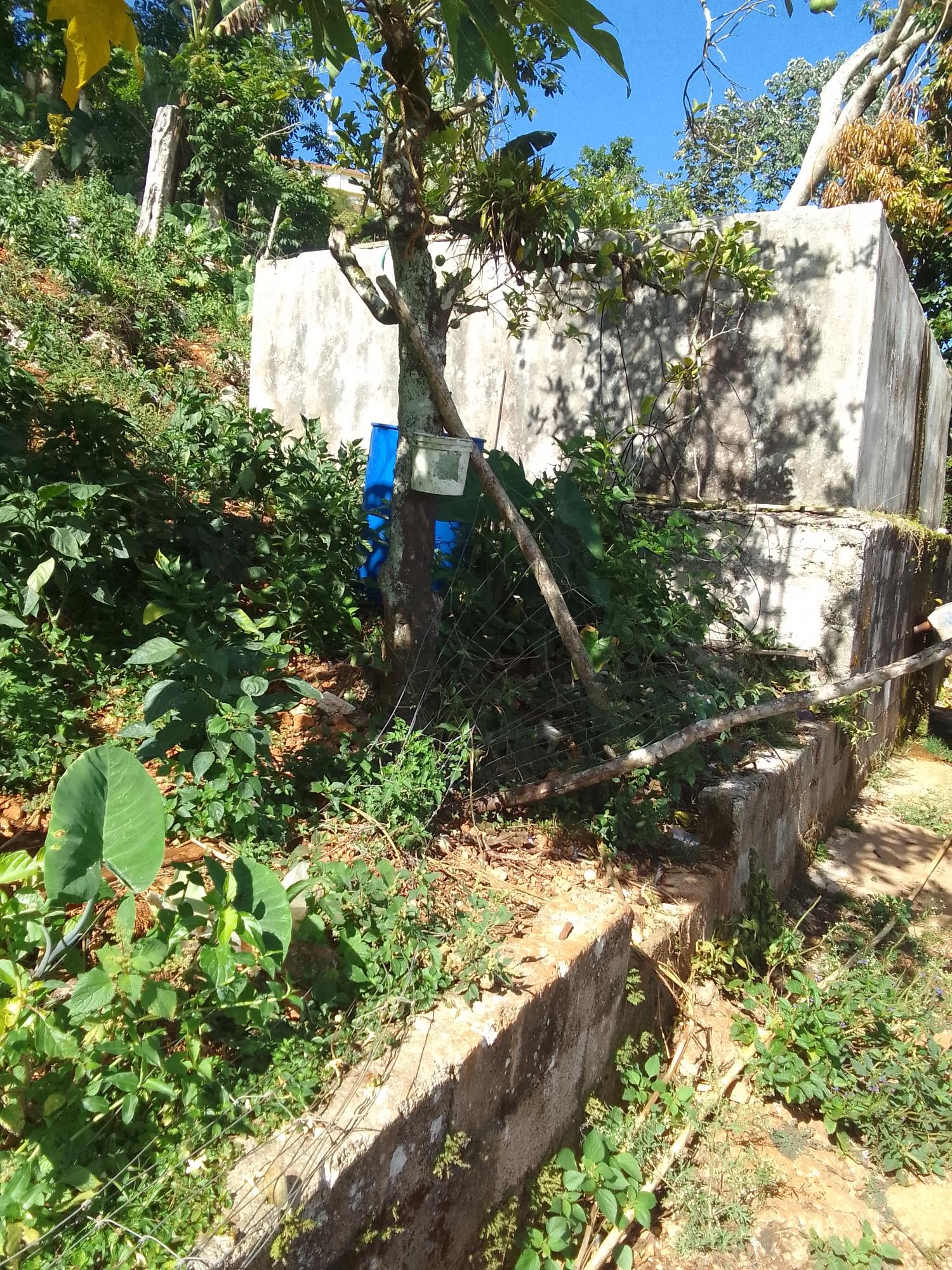 Second image of Knox Road, Spaldings Clar in Spaldings, Clarendon, Jamaica - property is For Sale