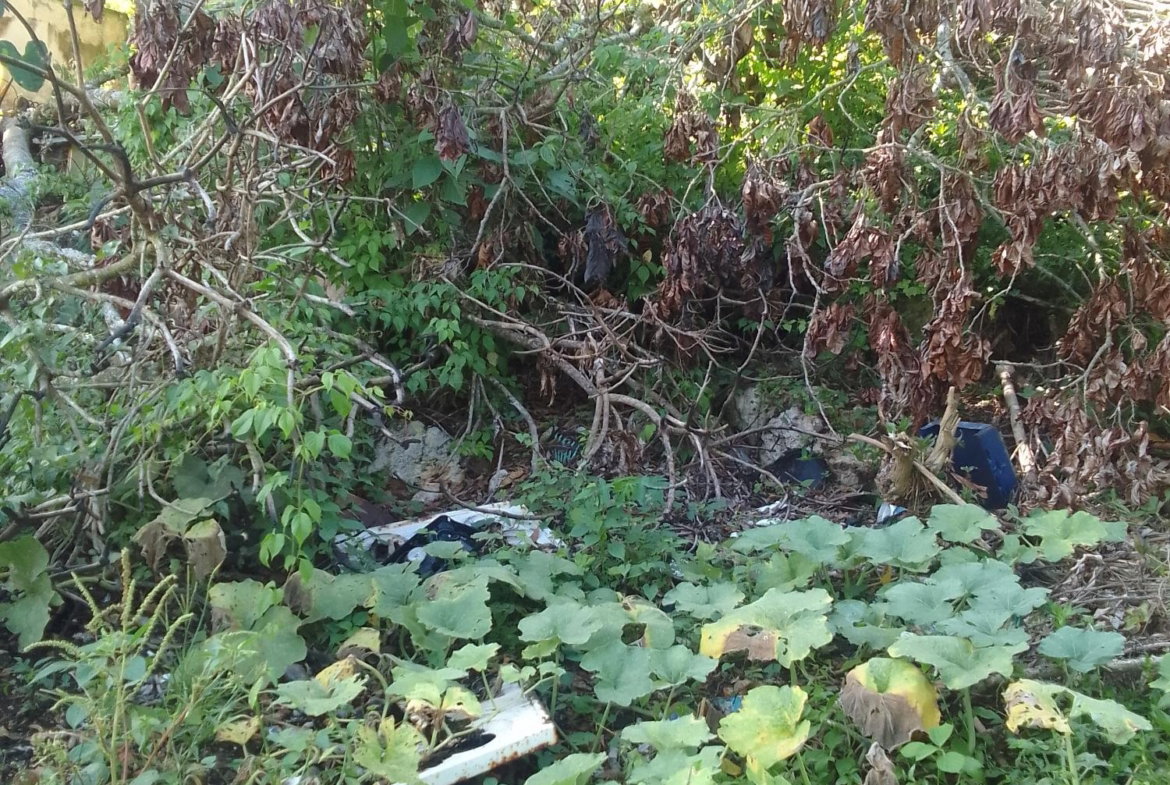 Third image of Knox Road, Spaldings Clar in Spaldings, Clarendon, Jamaica - property is For Sale