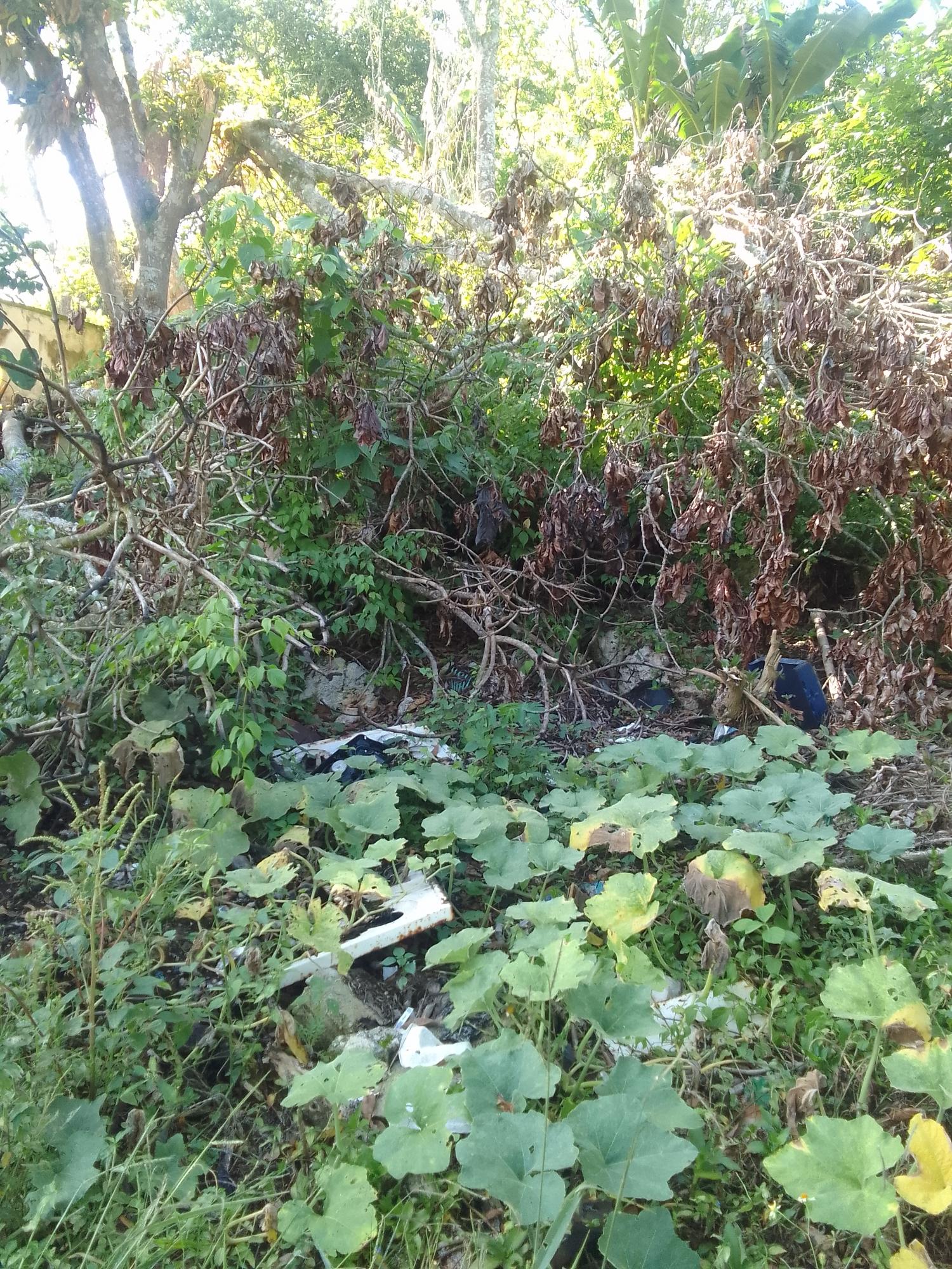 Third image of Knox Road, Spaldings Clar in Spaldings, Clarendon, Jamaica - property is For Sale