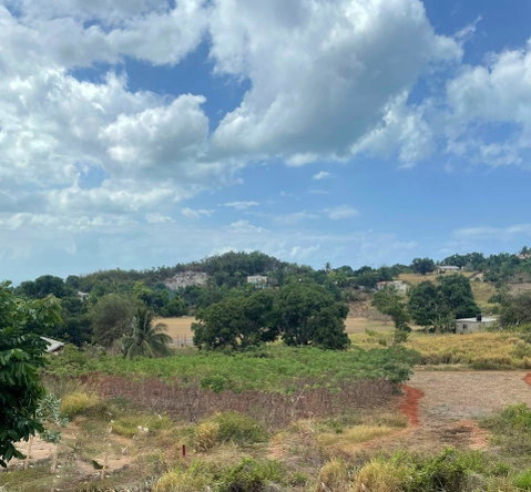 Third image of Bull Savannah in BULL SAVANNA, St. Elizabeth, Jamaica - property is For Sale