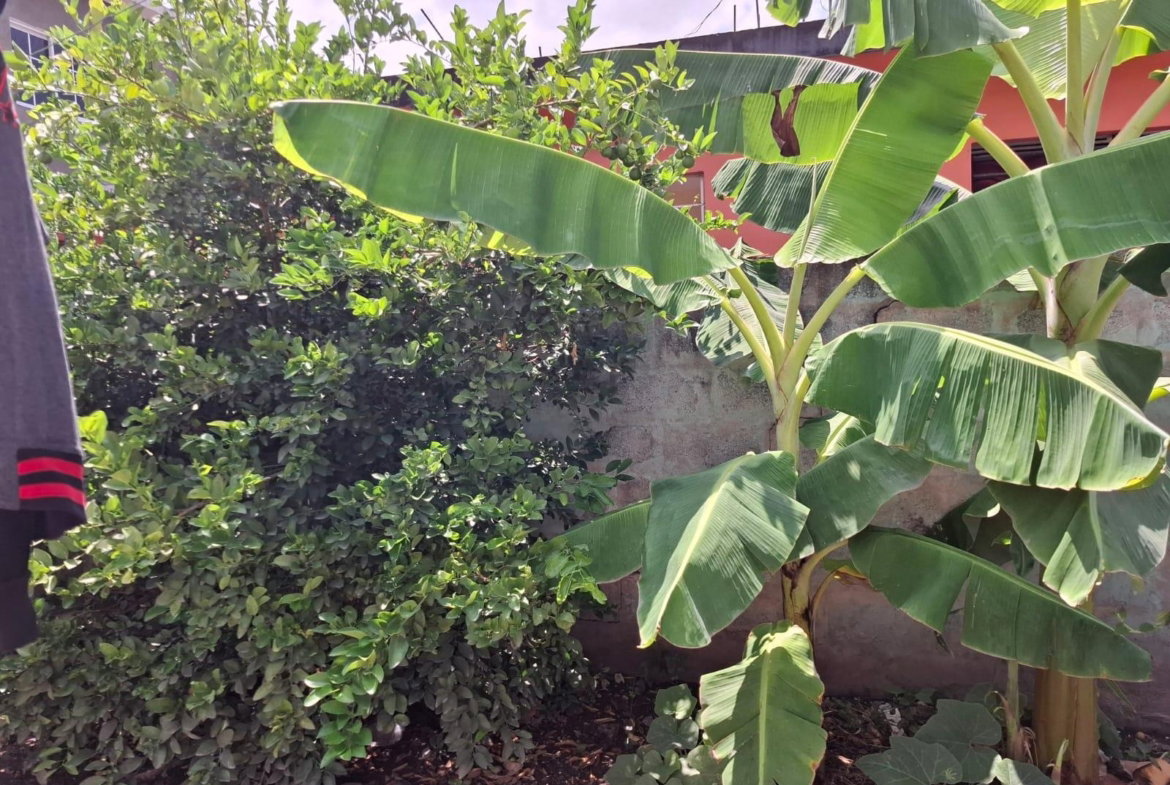 Fifth image of 6 Duhaney Drive,kingston 20 in Kingston 20, St. Andrew, Jamaica - property is For Sale