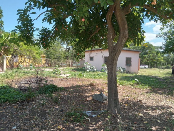 Twelfth image of Lot 1 Denbigh in Denbigh, Clarendon, Jamaica - property is For Sale