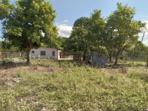 Fourteenth image of Lot 1 Denbigh in Denbigh, Clarendon, Jamaica - property is For Sale