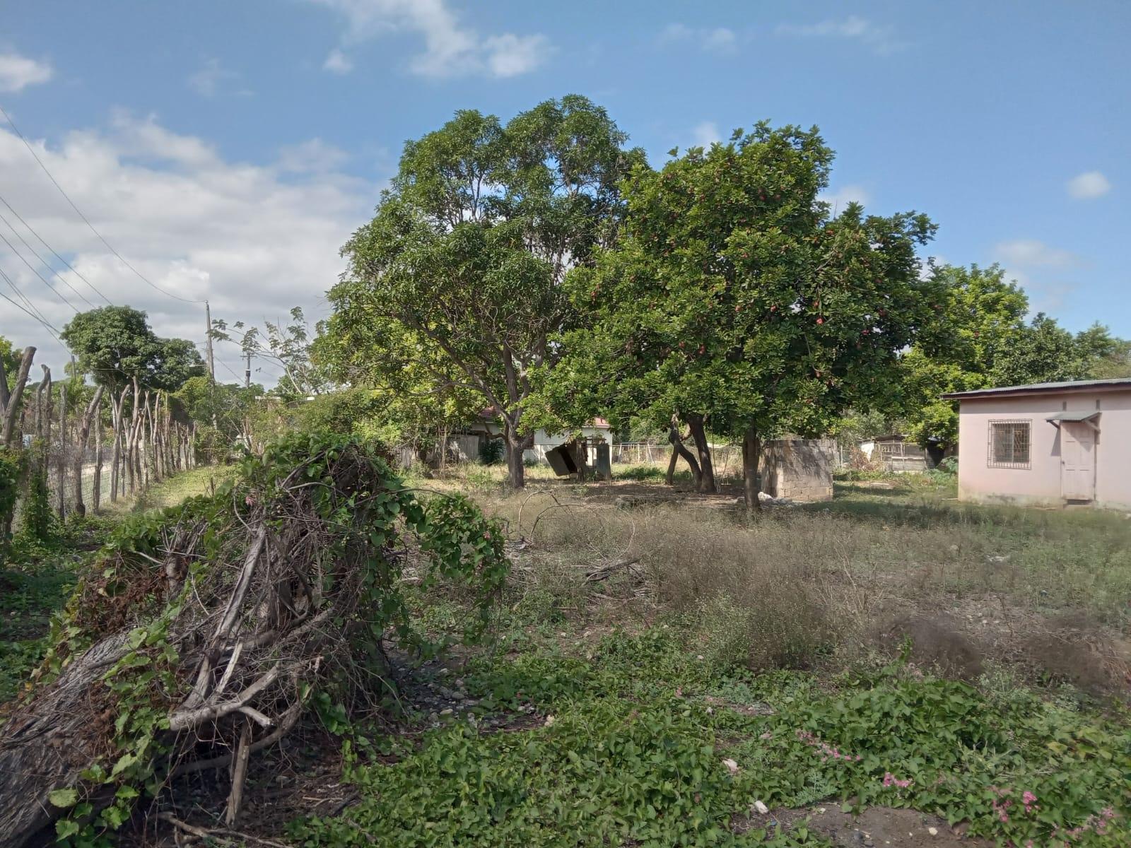 Fifteenth image of Lot 1 Denbigh in Denbigh, Clarendon, Jamaica - property is For Sale
