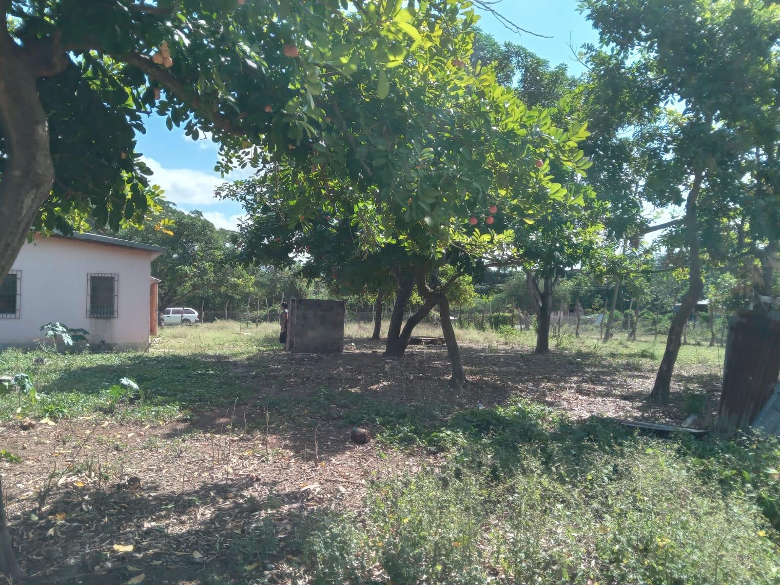 Sixteenth image of Lot 1 Denbigh in Denbigh, Clarendon, Jamaica - property is For Sale