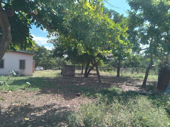 Sixteenth image of Lot 1 Denbigh in Denbigh, Clarendon, Jamaica - property is For Sale