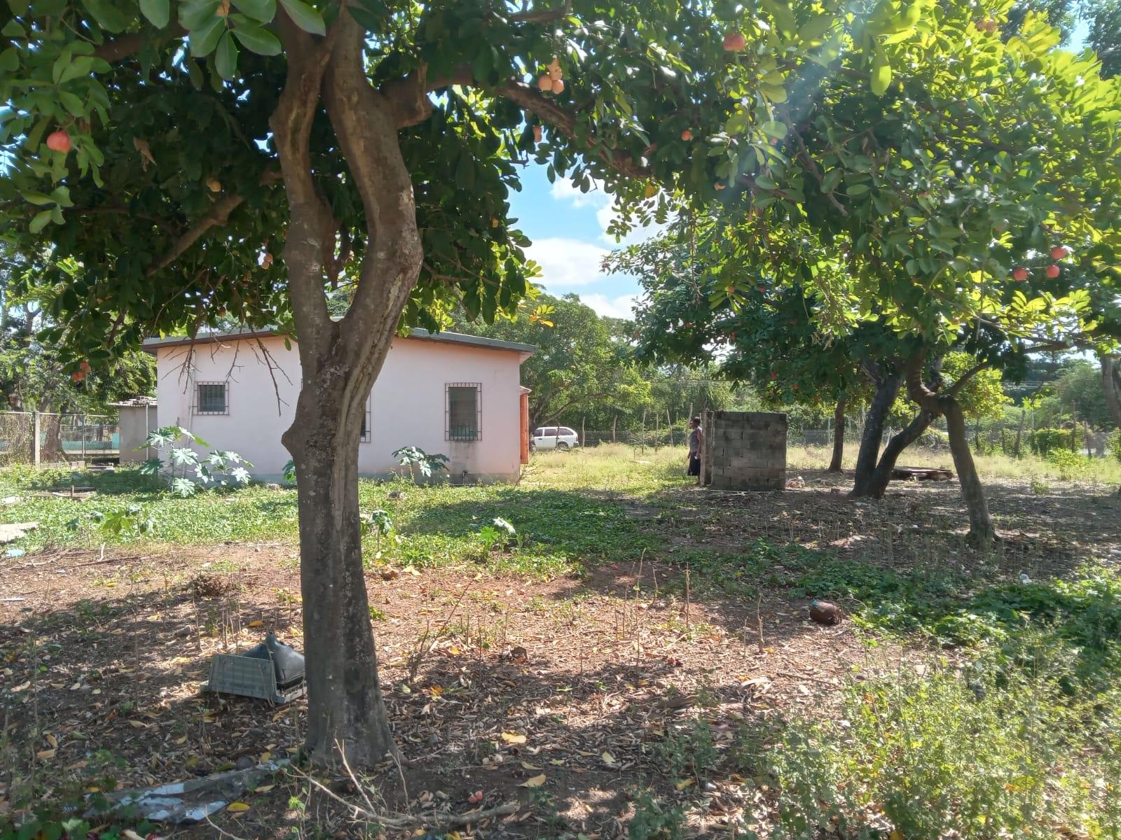 Seventeenth image of Lot 1 Denbigh in Denbigh, Clarendon, Jamaica - property is For Sale