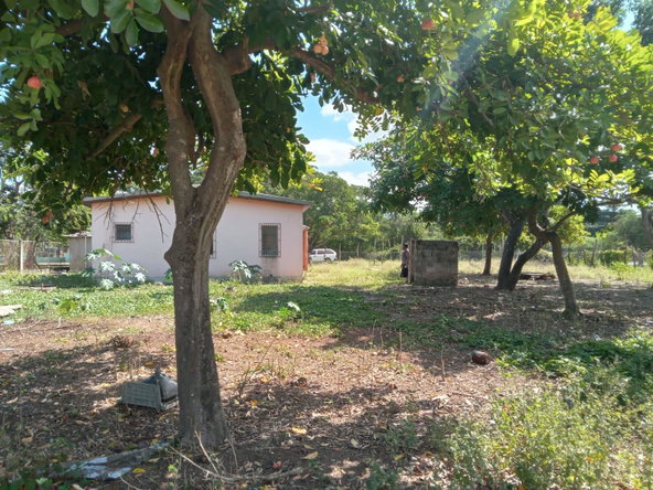 Seventeenth image of Lot 1 Denbigh in Denbigh, Clarendon, Jamaica - property is For Sale