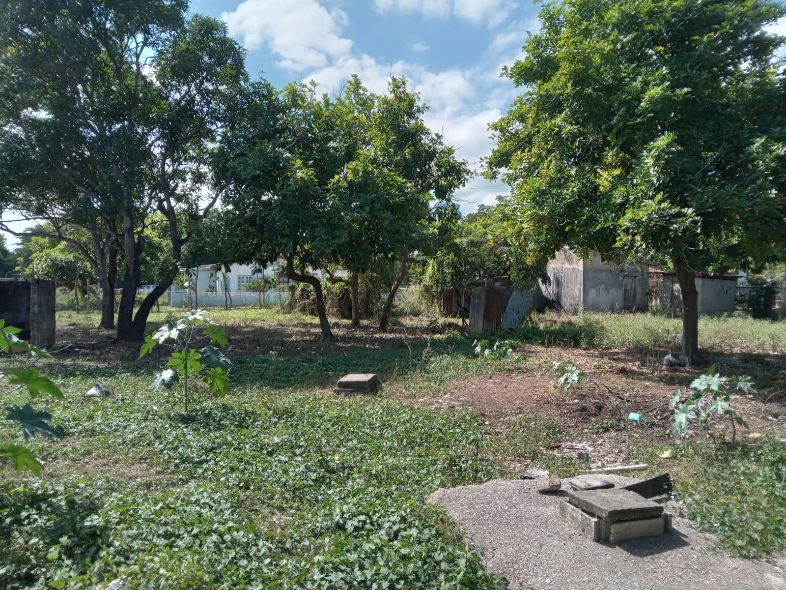 Eighteenth image of Lot 1 Denbigh in Denbigh, Clarendon, Jamaica - property is For Sale