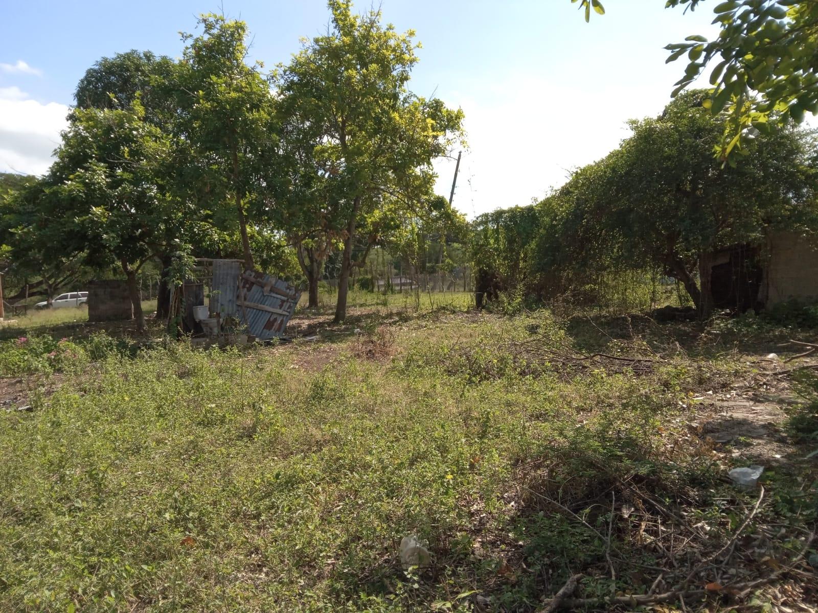 Nineteenth image of Lot 1 Denbigh in Denbigh, Clarendon, Jamaica - property is For Sale