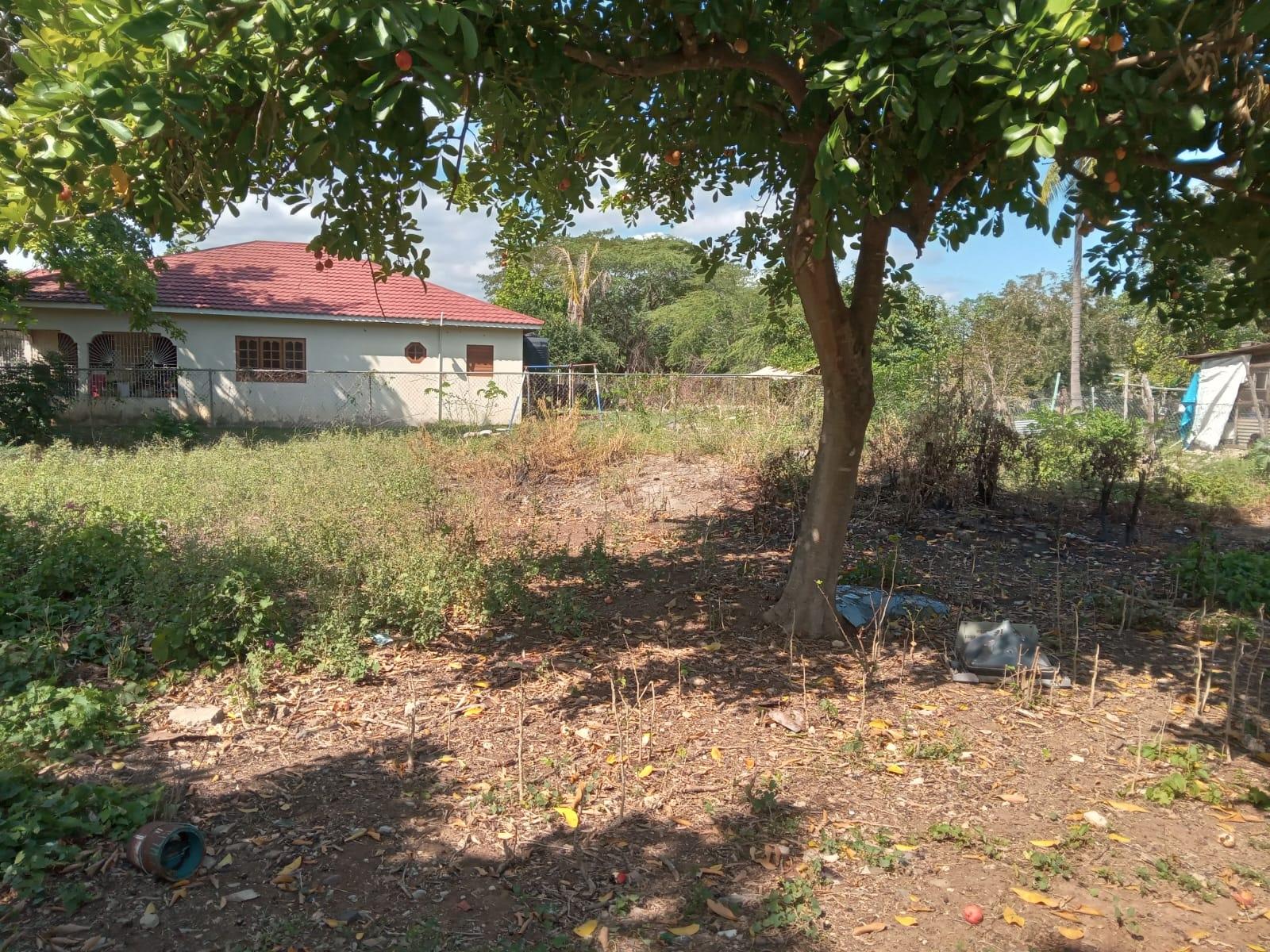 Twentieth image of Lot 1 Denbigh in Denbigh, Clarendon, Jamaica - property is For Sale