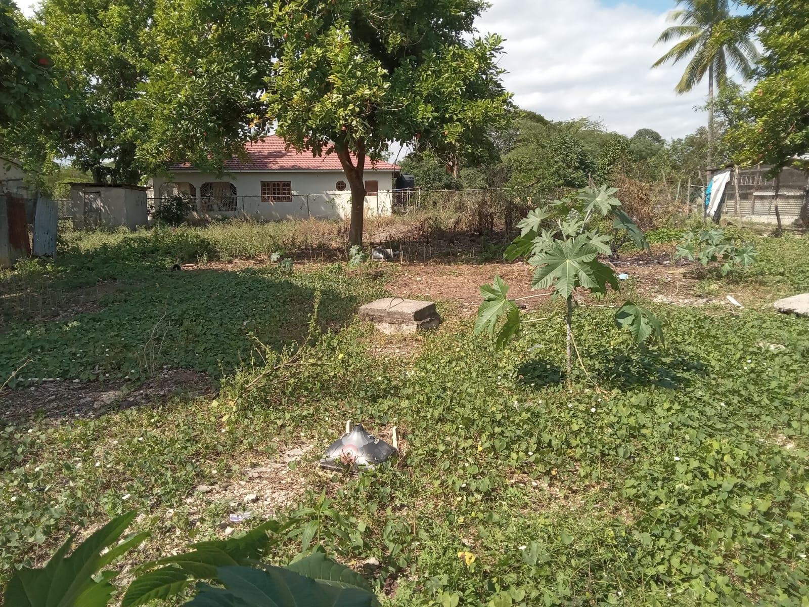 Twenty-First image of Lot 1 Denbigh in Denbigh, Clarendon, Jamaica - property is For Sale