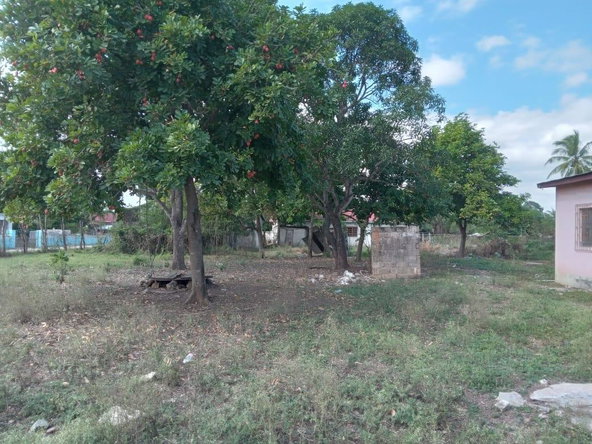 Twenty-Second image of Lot 1 Denbigh in Denbigh, Clarendon, Jamaica - property is For Sale