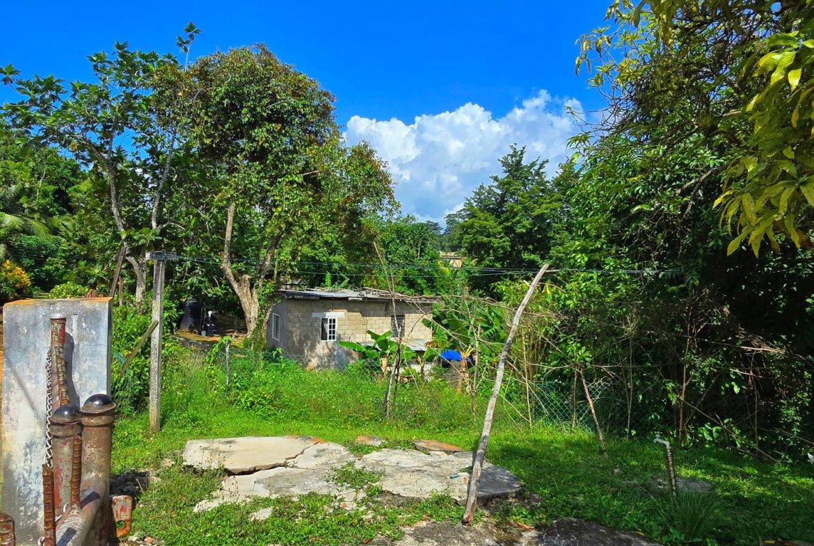 Thirteenth image of Big Rock, Victoria Linste in Linstead, St. Catherine, Jamaica - property is For Sale
