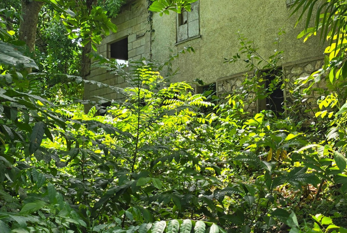 Fourteenth image of Big Rock, Victoria Linste in Linstead, St. Catherine, Jamaica - property is For Sale