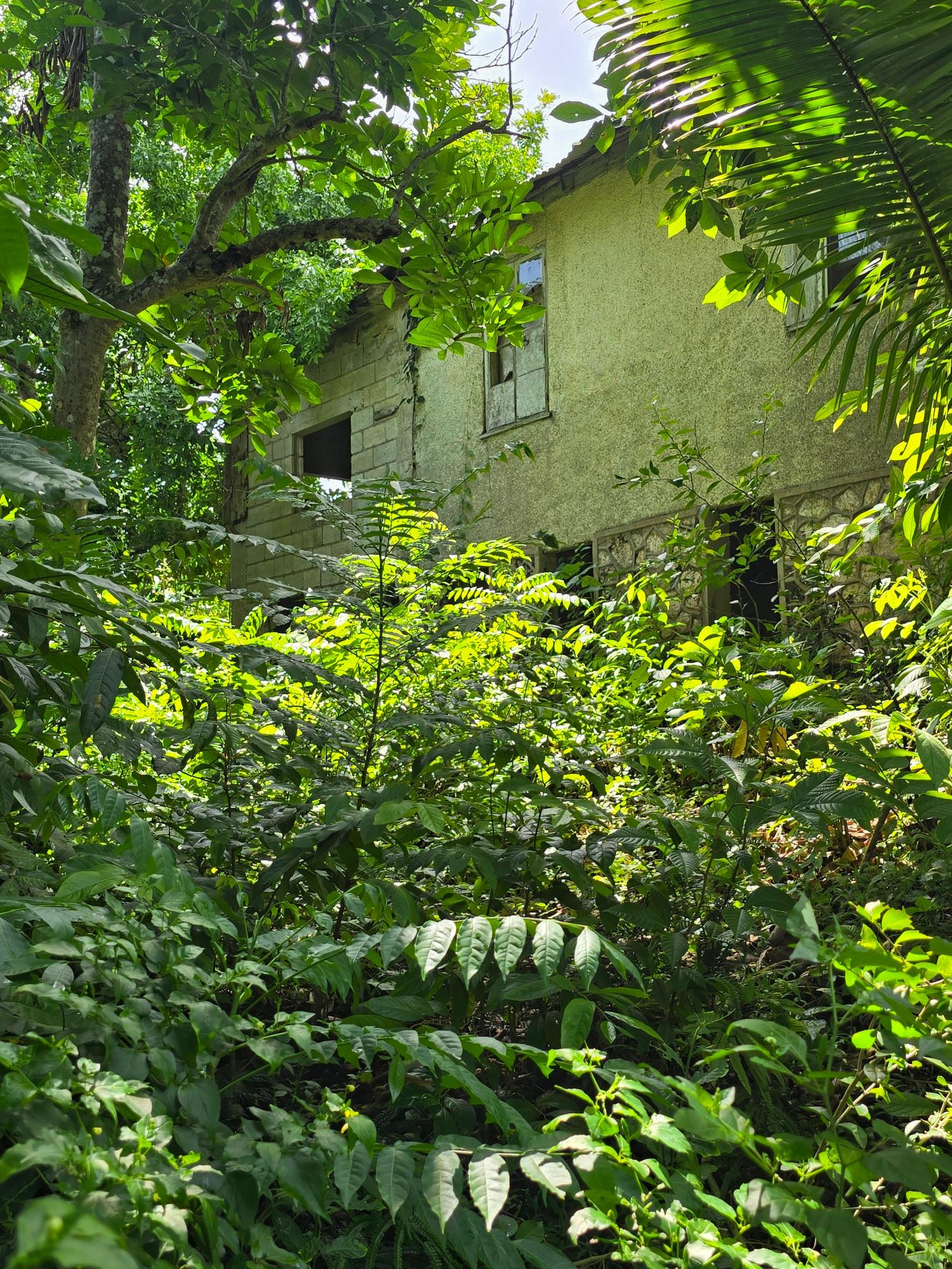 Fourteenth image of Big Rock, Victoria Linste in Linstead, St. Catherine, Jamaica - property is For Sale