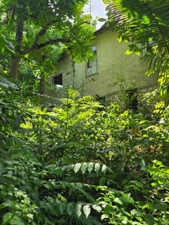 Fourteenth image of Big Rock, Victoria Linste in Linstead, St. Catherine, Jamaica - property is For Sale