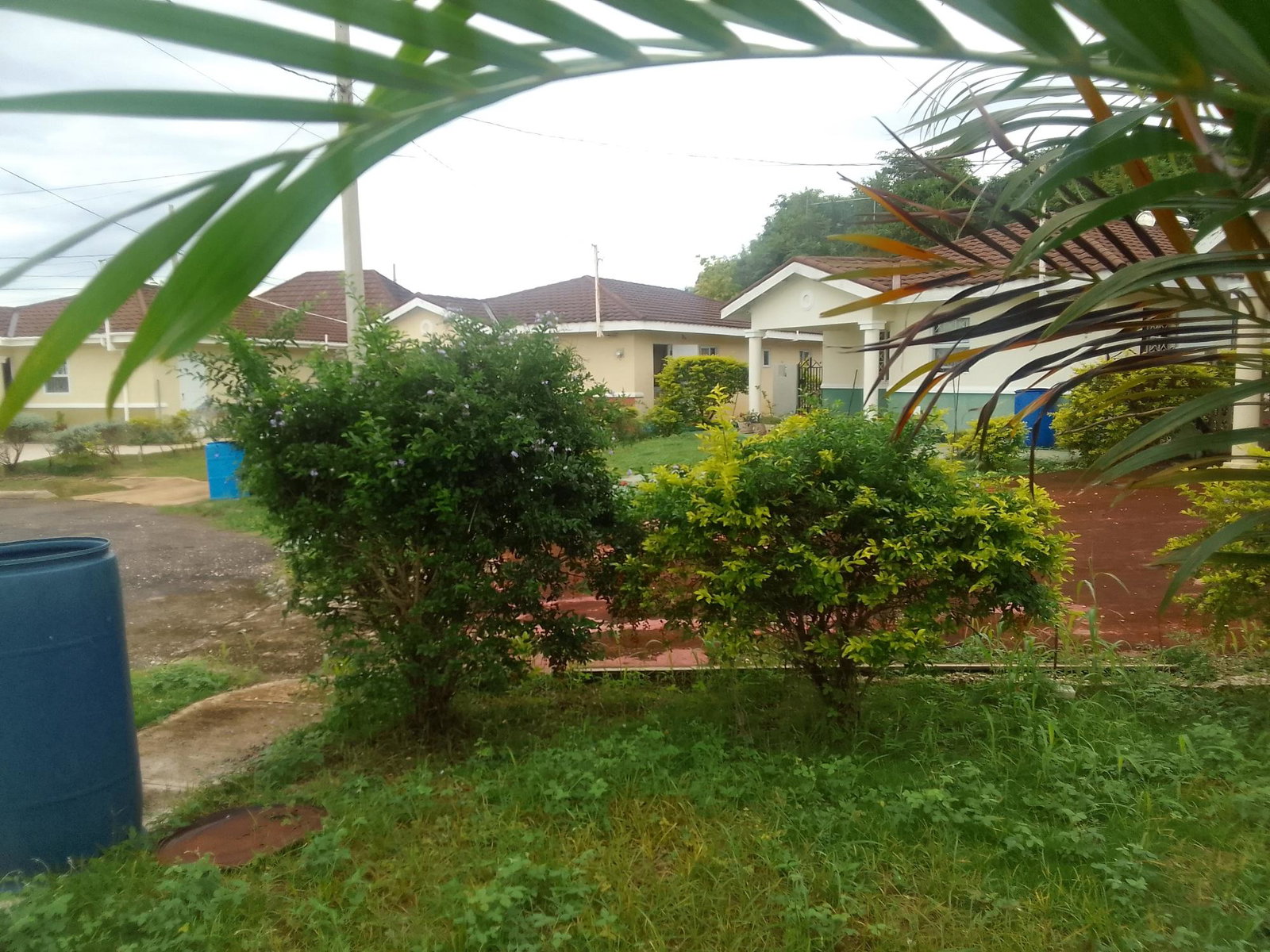 Eighth image of 35 Holland Estate in HOLLAND ESTATE, Trelawny, Jamaica - property is For Rent