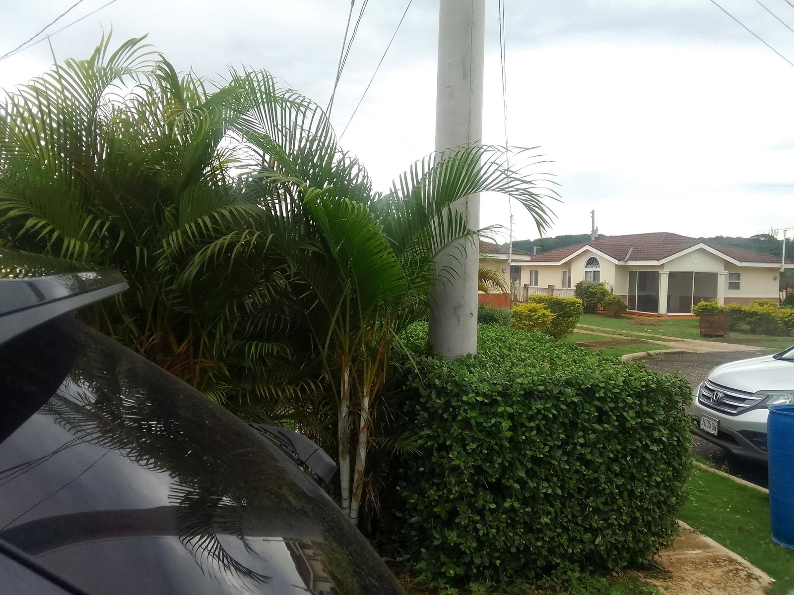 Ninth image of 35 Holland Estate in HOLLAND ESTATE, Trelawny, Jamaica - property is For Rent