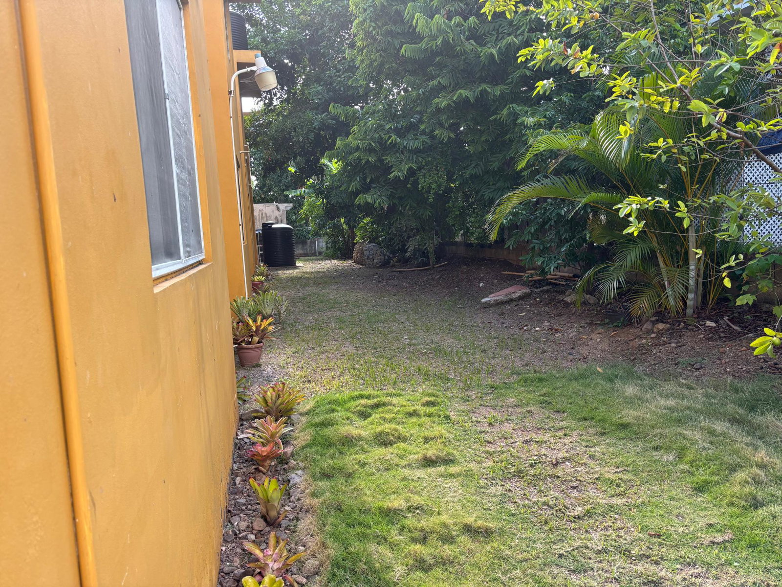 Fourteenth image of 4-8 Hibiscus Drive in Kingston 6, St. Andrew, Jamaica - property is For Rent