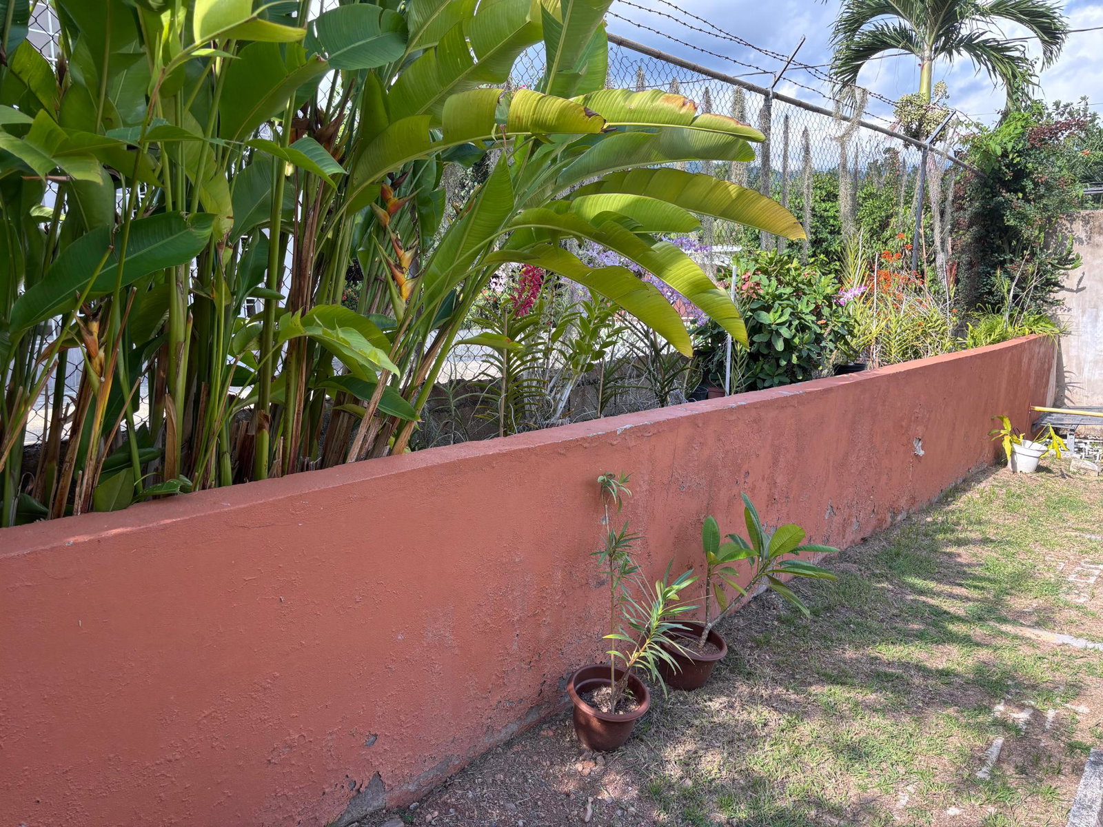 Fifteenth image of 4-8 Hibiscus Drive in Kingston 6, St. Andrew, Jamaica - property is For Rent