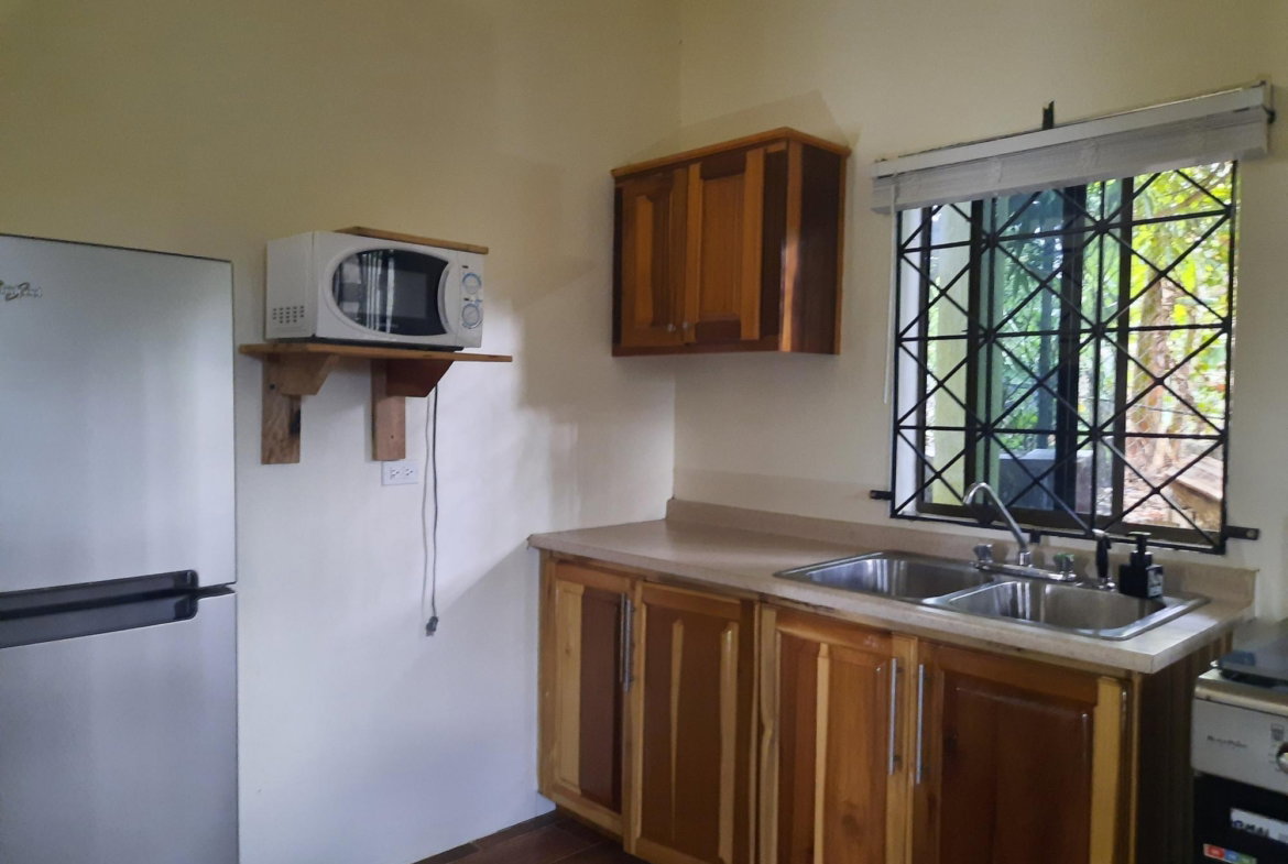 Sixth image of Apt#2- Opal Avenue in Falmouth, Trelawny, Jamaica - property is For Rent