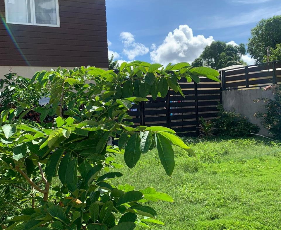 Third image of A302-1 Belair Ave, Kingston 3 in Kingston 3, St. Andrew, Jamaica - property is For Rent