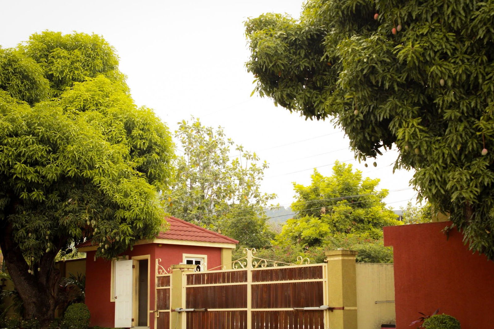 Ground-Floor-Apartment-for-Sale-in-Kingston-6-–-2-Bed-2.5-Bath-Prime-Location Twenty-Fifth image of 11-7 Charlemont Avenue in Kingston 6, St. Andrew, Jamaica - property is For Sale