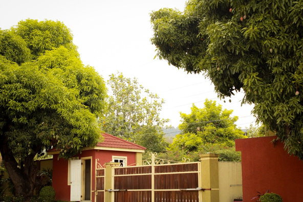 Twenty-Fifth image of 11-7 Charlemont Avenue in Kingston 6, St. Andrew, Jamaica - property is For Sale
