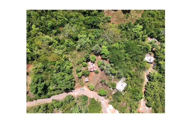 Second image of Victoria Town Mandeville in Mandeville, Manchester, Jamaica - property is For Sale