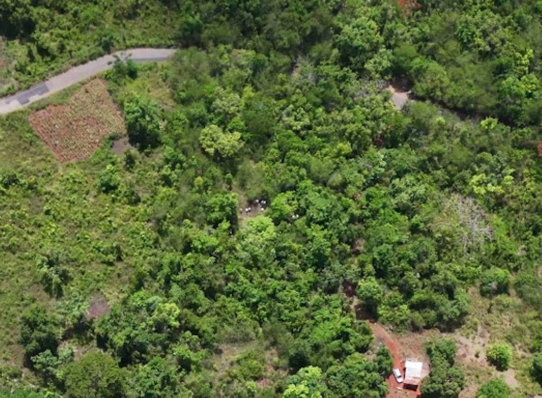Fourth image of Victoria Town Mandeville in Mandeville, Manchester, Jamaica - property is For Sale