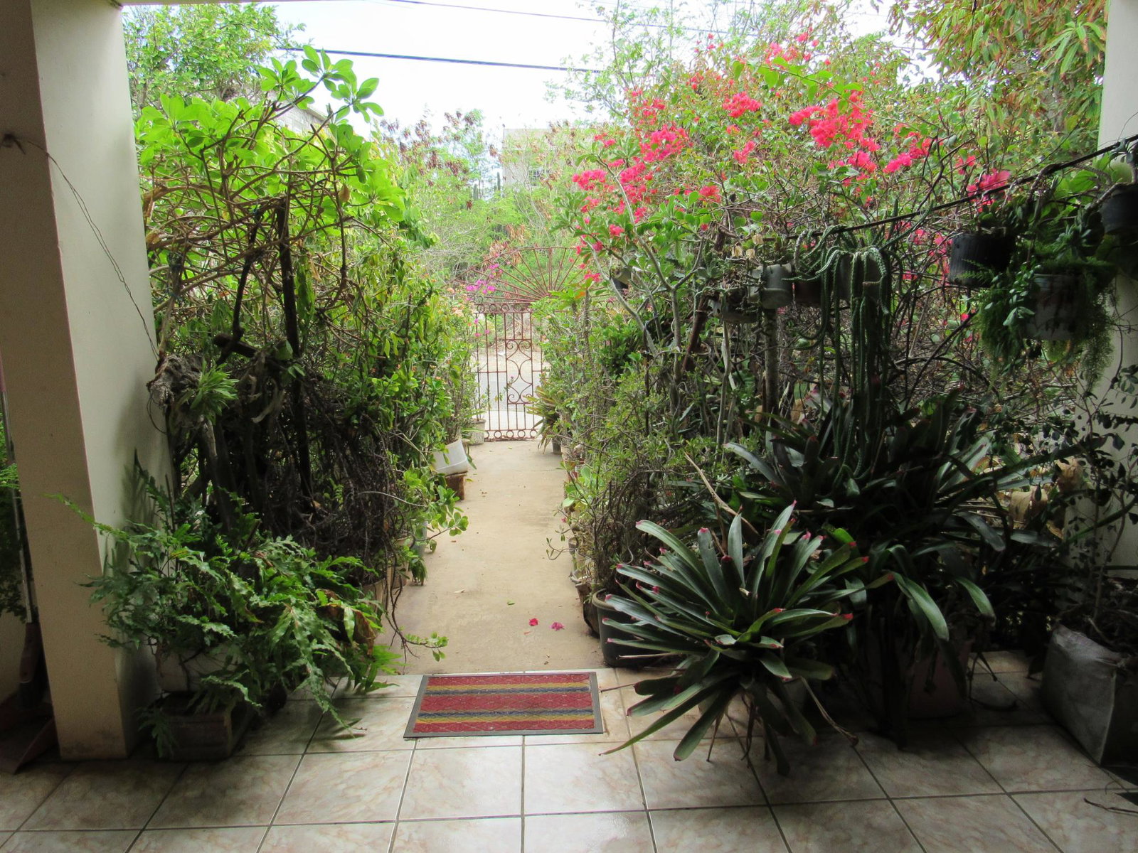 Ninth image of 140 Blue Lagoon Avenue, Seafo in Hellshire Heights, St. Catherine, Jamaica - property is For Sale