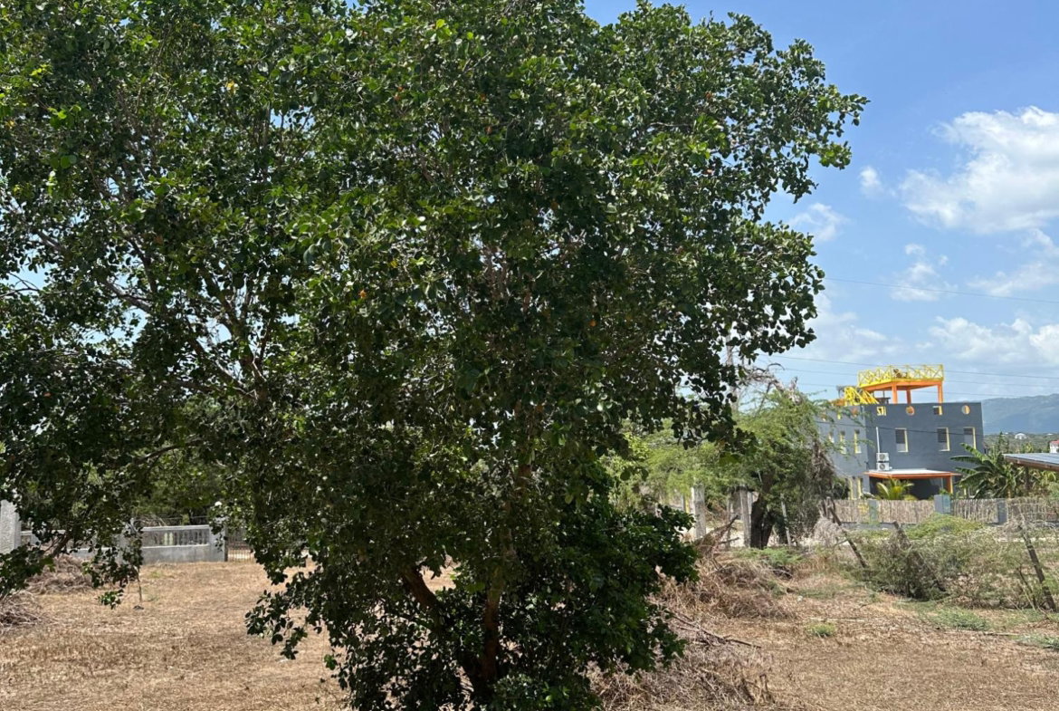 Twenty-Second image of 8 Old Wharf rd in Treasure Beach, St. Elizabeth, Jamaica - property is For Sale