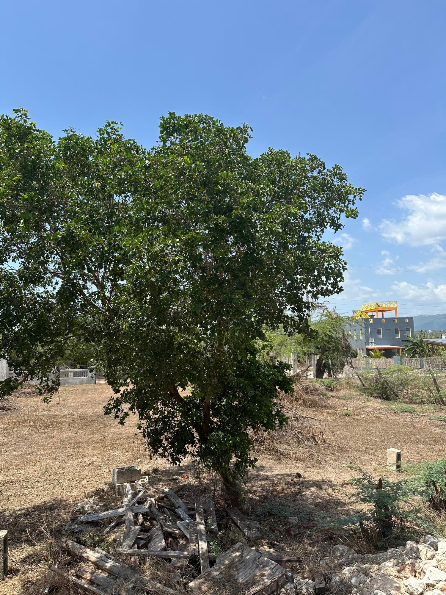Twenty-Second image of 8 Old Wharf rd in Treasure Beach, St. Elizabeth, Jamaica - property is For Sale