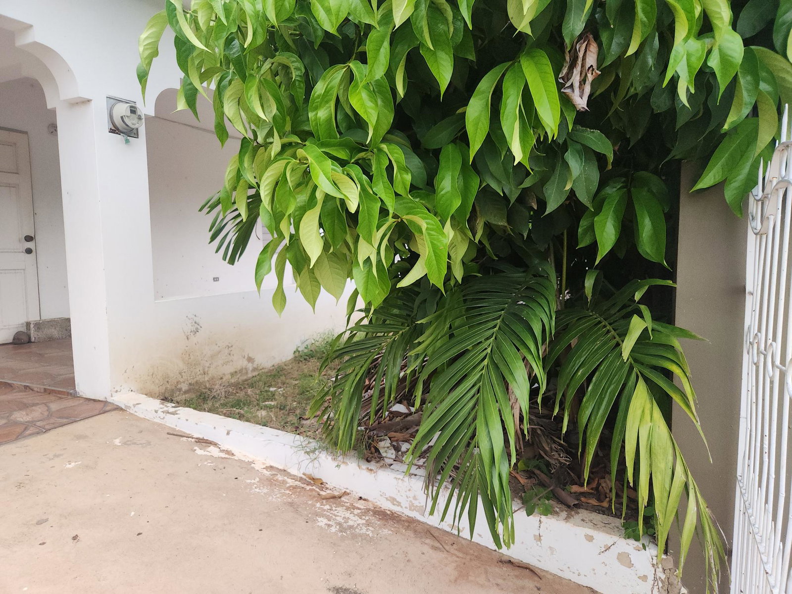 House-for-Sale-in-Eltham-View-St.-Catherine-Dual-Living-Investment-Opportunity Eighth image of 557 Eltham View in Eltham Vista, St. Catherine, Jamaica - property is For Sale