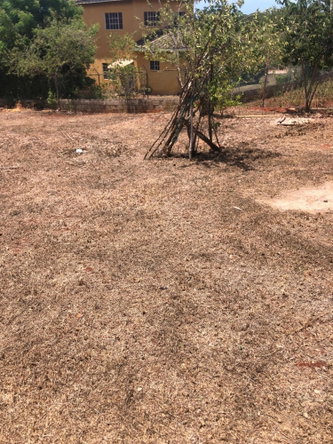 Seventeenth image of 1- Maryfield Dark Hole in KITSON TOWN, St. Catherine, Jamaica - property is For Sale