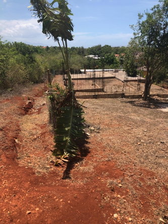 Tenth image of 1- Maryfield Dark Hole in KITSON TOWN, St. Catherine, Jamaica - property is For Sale