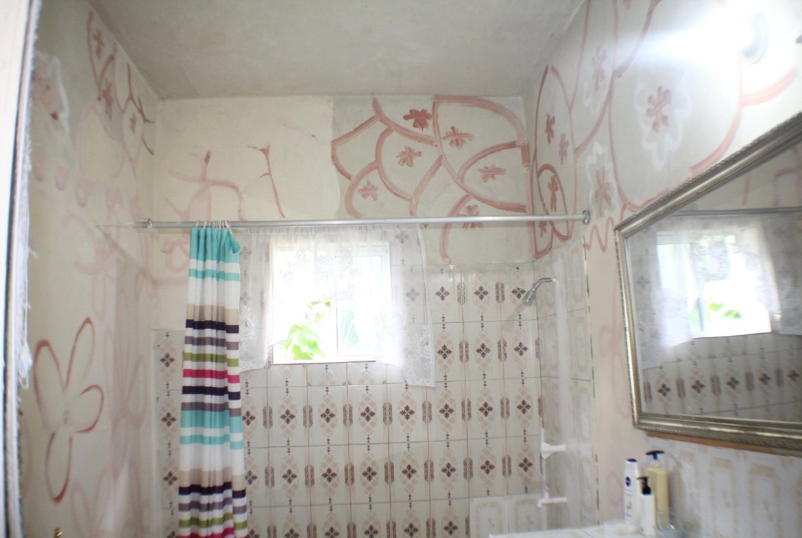 Thirteenth image of Trenail Maggotty in Maggotty, St. Elizabeth, Jamaica - property is For Sale