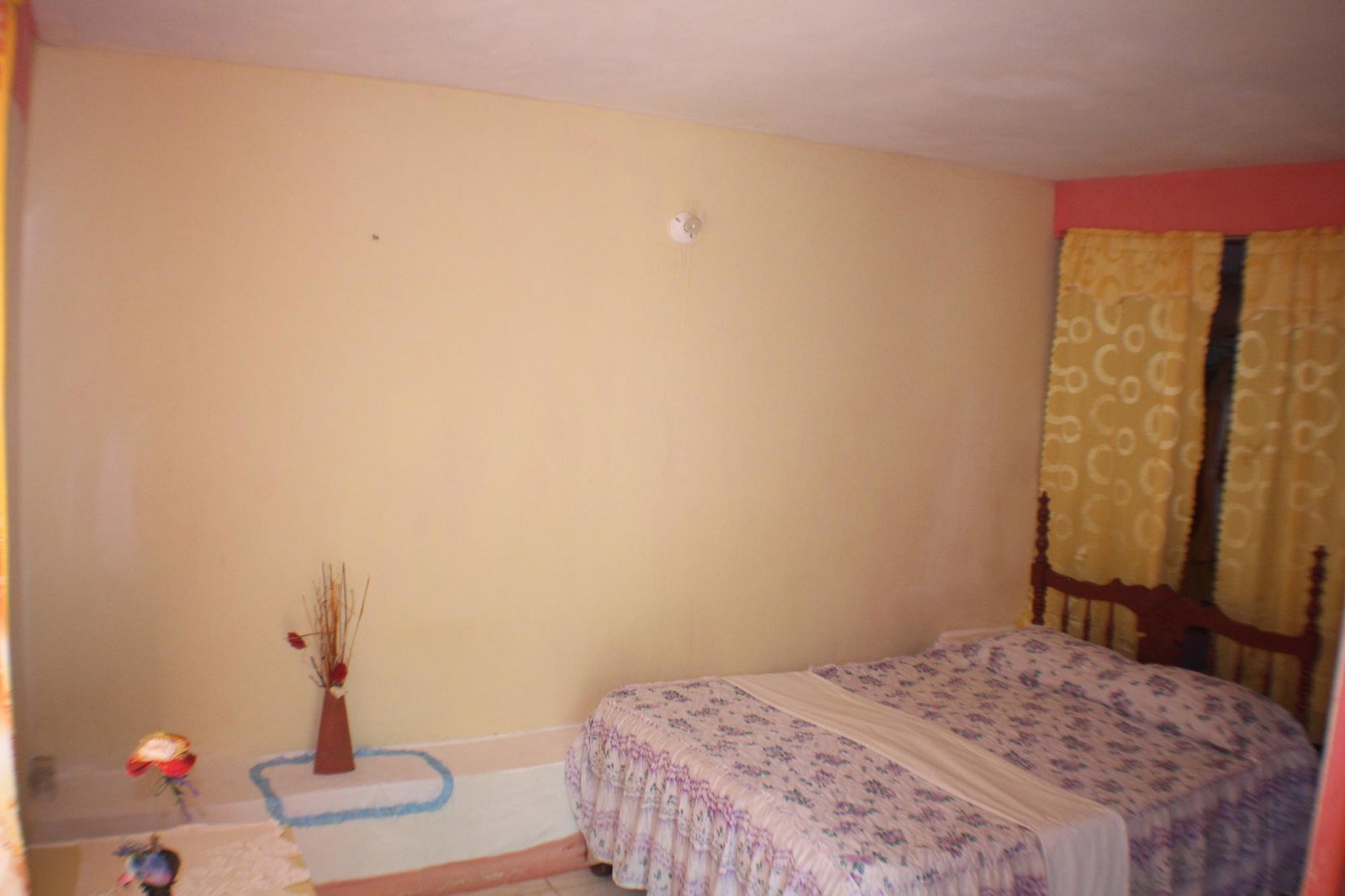 Fifteenth image of Trenail Maggotty in Maggotty, St. Elizabeth, Jamaica - property is For Sale