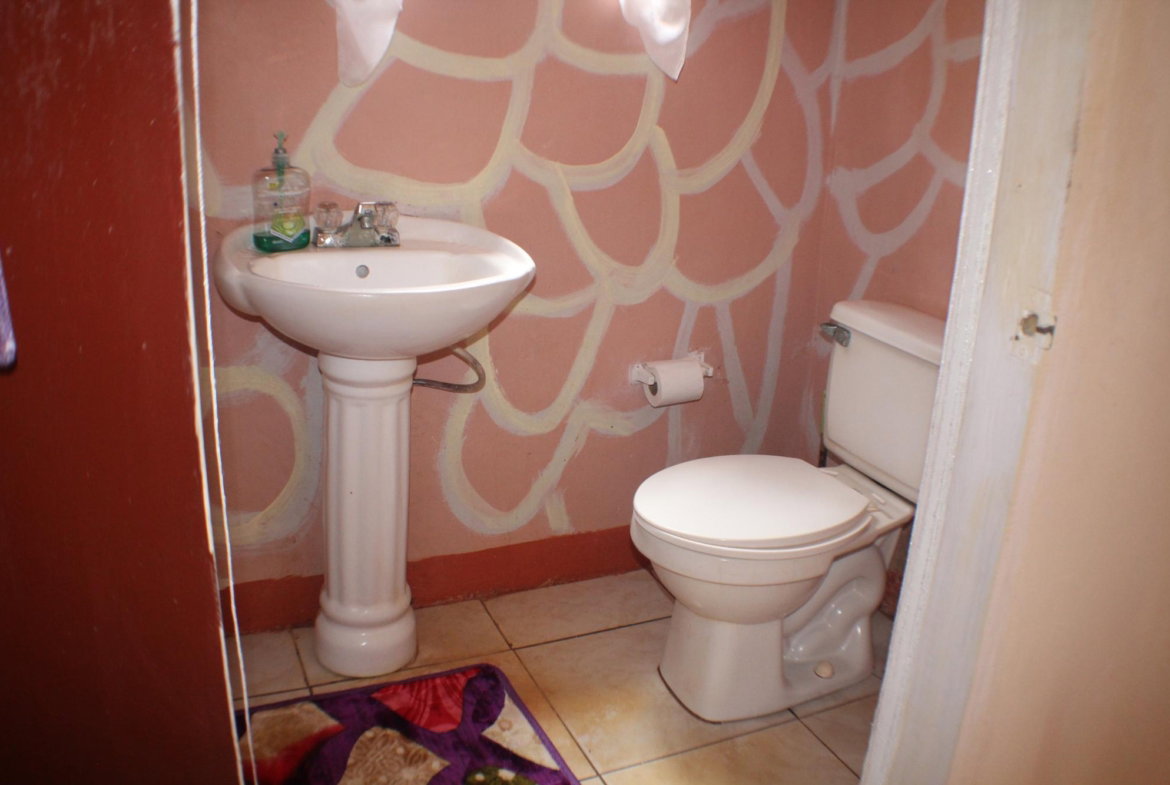 Seventeenth image of Trenail Maggotty in Maggotty, St. Elizabeth, Jamaica - property is For Sale